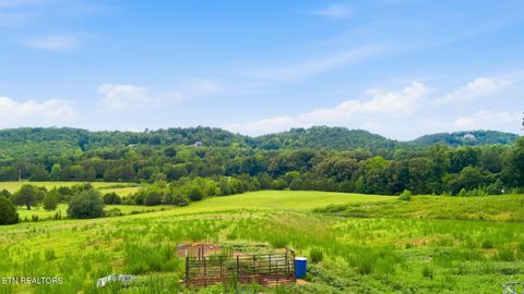 Tiny photo for 101 County Road 757, Riceville, TN 37370 (MLS # 1347915)