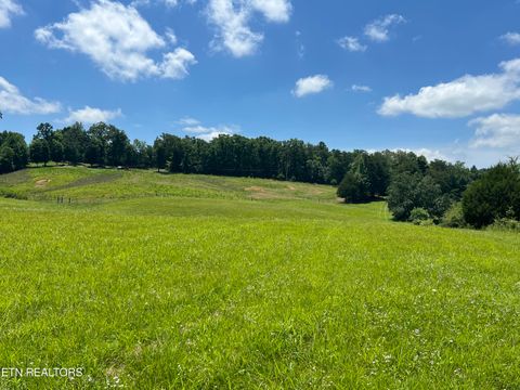 Tiny photo for 101 County Road 757, Riceville, TN 37370 (MLS # 1347915)