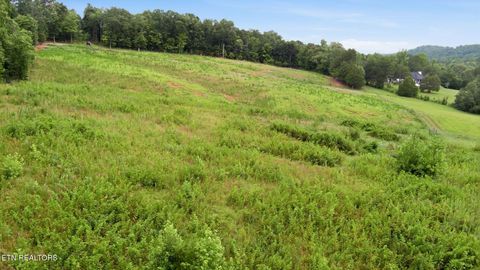 Tiny photo for 101 County Road 757, Riceville, TN 37370 (MLS # 1347915)