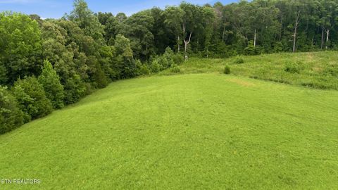 Tiny photo for 101 County Road 757, Riceville, TN 37370 (MLS # 1347915)