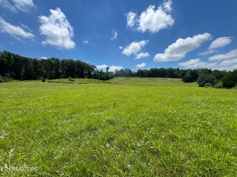 Tiny photo for 101 County Road 757, Riceville, TN 37370 (MLS # 1347915)