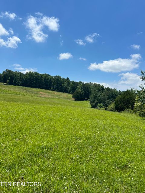 Tiny photo for 101 County Road 757, Riceville, TN 37370 (MLS # 1347915)