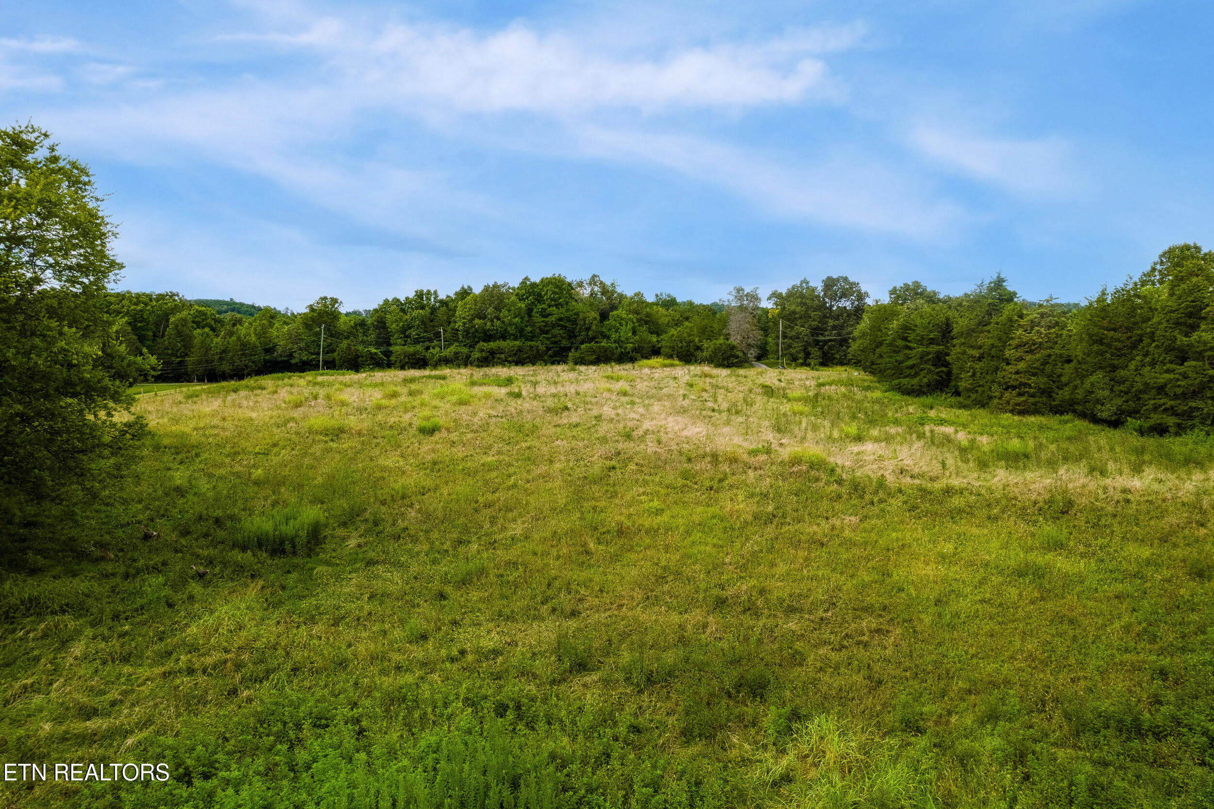 Alex Bales (39.31 acres) Rd