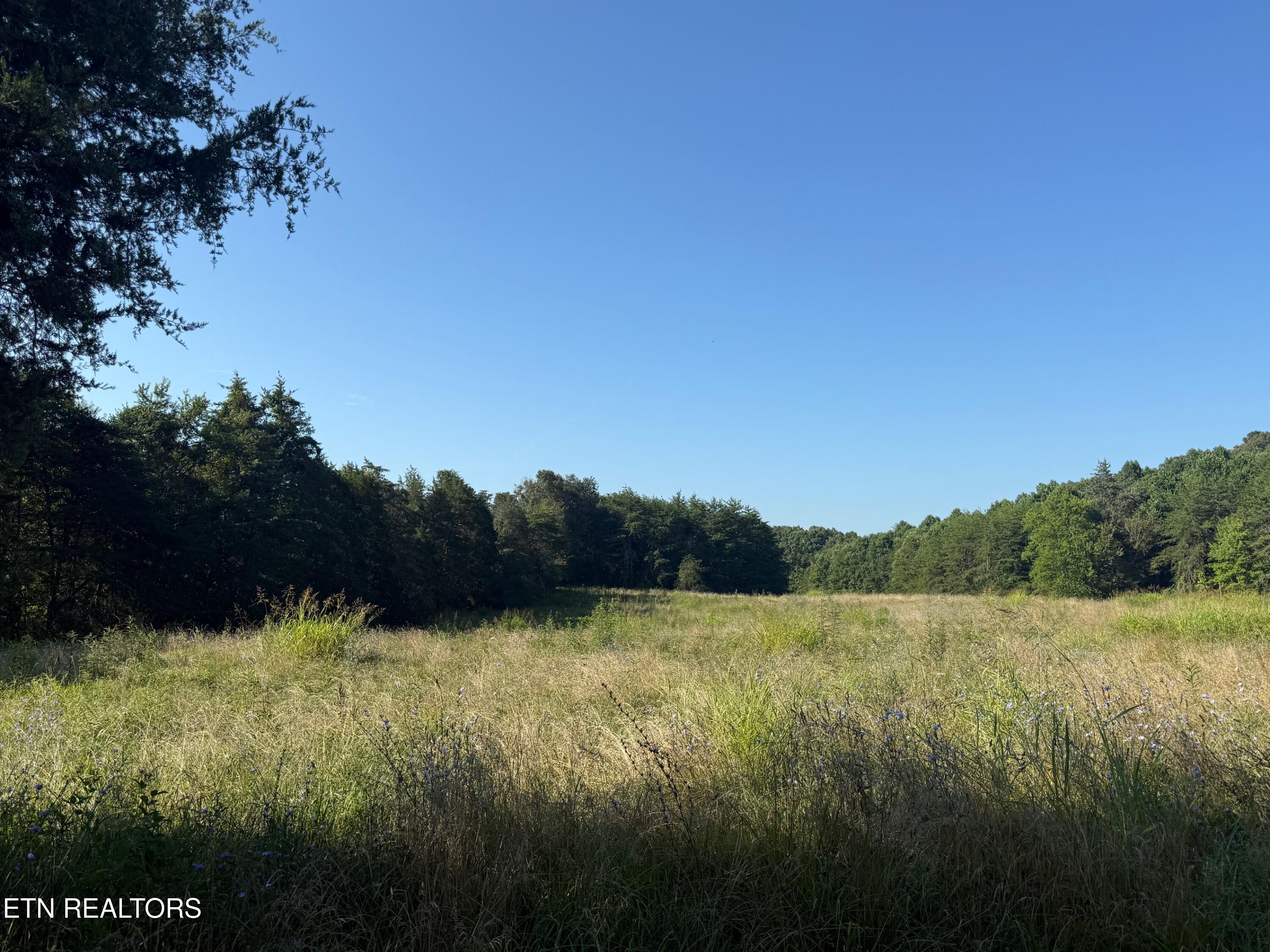 Alex Bales (39.31 acres) Rd