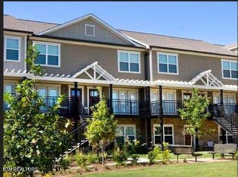 1130 Tree Top Way 1313 Knoxville TN 37920