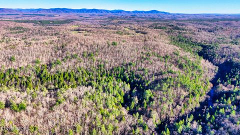 Tiny photo for 7 Ervin Brown Rd #Tract 7, Sunbright, TN 37872 (MLS # 1336264)