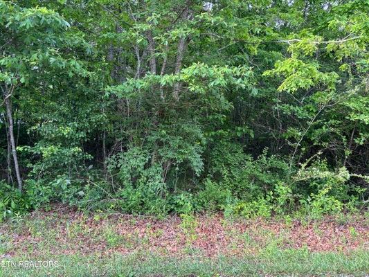 1654 CHEROKEE RD E, CROSSVILLE, TN 38572 - Image d1b8dffa49ebd4a24610babdf715d384/3735857676