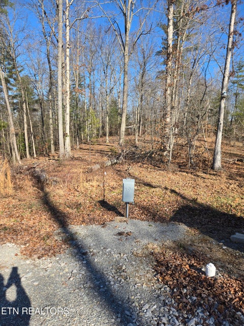 Tiny photo for 1434 Catoosa Rd, Wartburg, TN 37887 (MLS # 1357453)