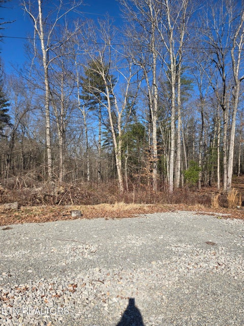 Tiny photo for 1434 Catoosa Rd, Wartburg, TN 37887 (MLS # 1357453)