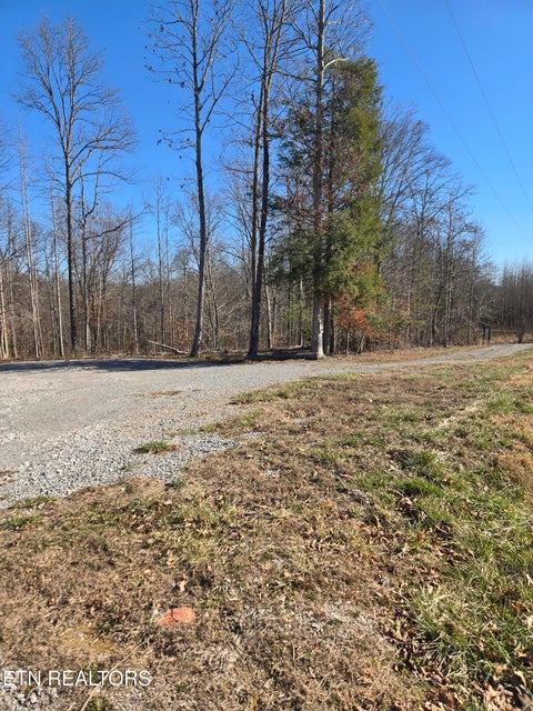 Photo of 1434 Catoosa Rd, Wartburg, TN 37887 (MLS # 1357453)