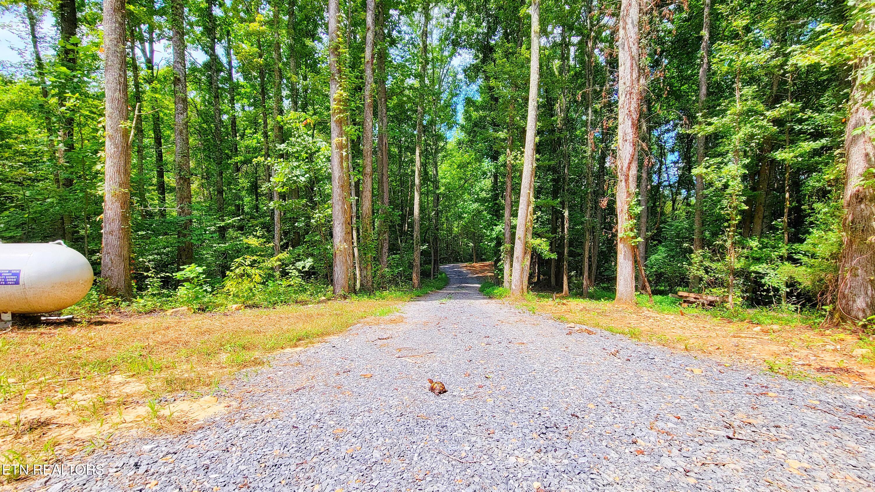 1271 Shady Rest Drive