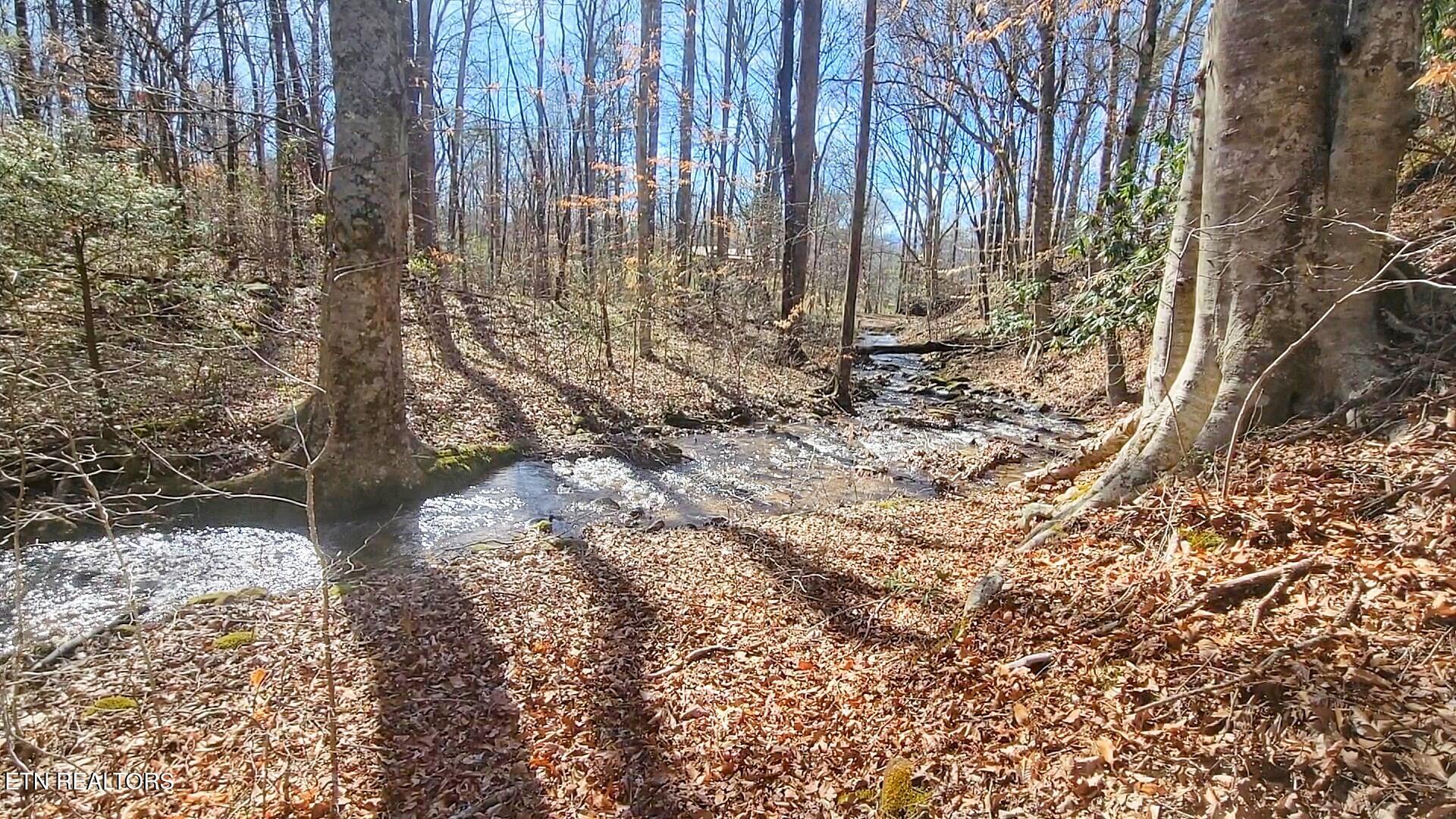 1271 Shady Rest Drive