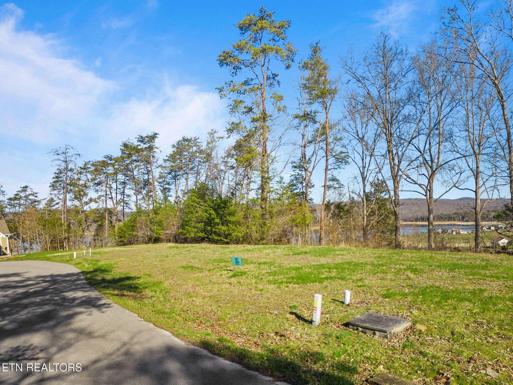 Photo of Dove Court, Sharps Chapel, TN 37866 (MLS # 1303206)