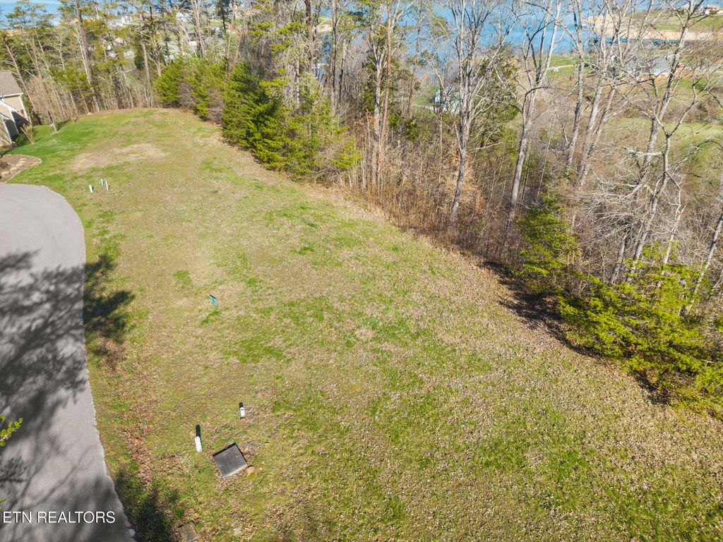 Photo of Dove Court, Sharps Chapel, TN 37866 (MLS # 1303206)