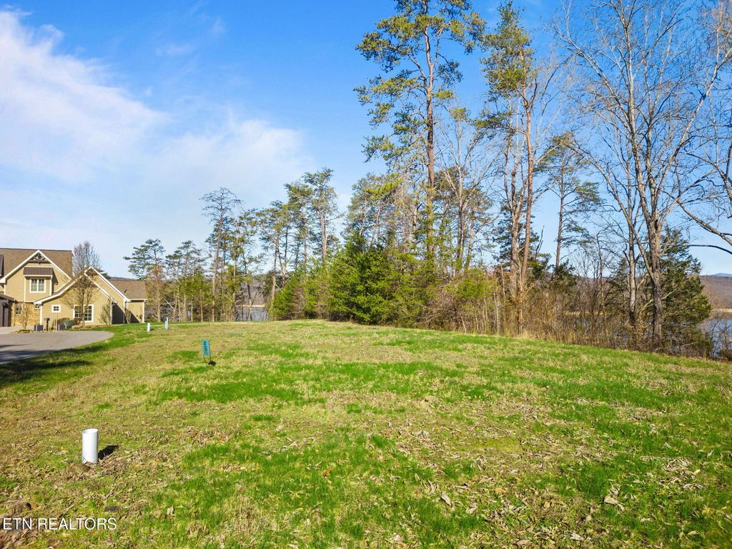 Photo of Dove Court, Sharps Chapel, TN 37866 (MLS # 1303206)