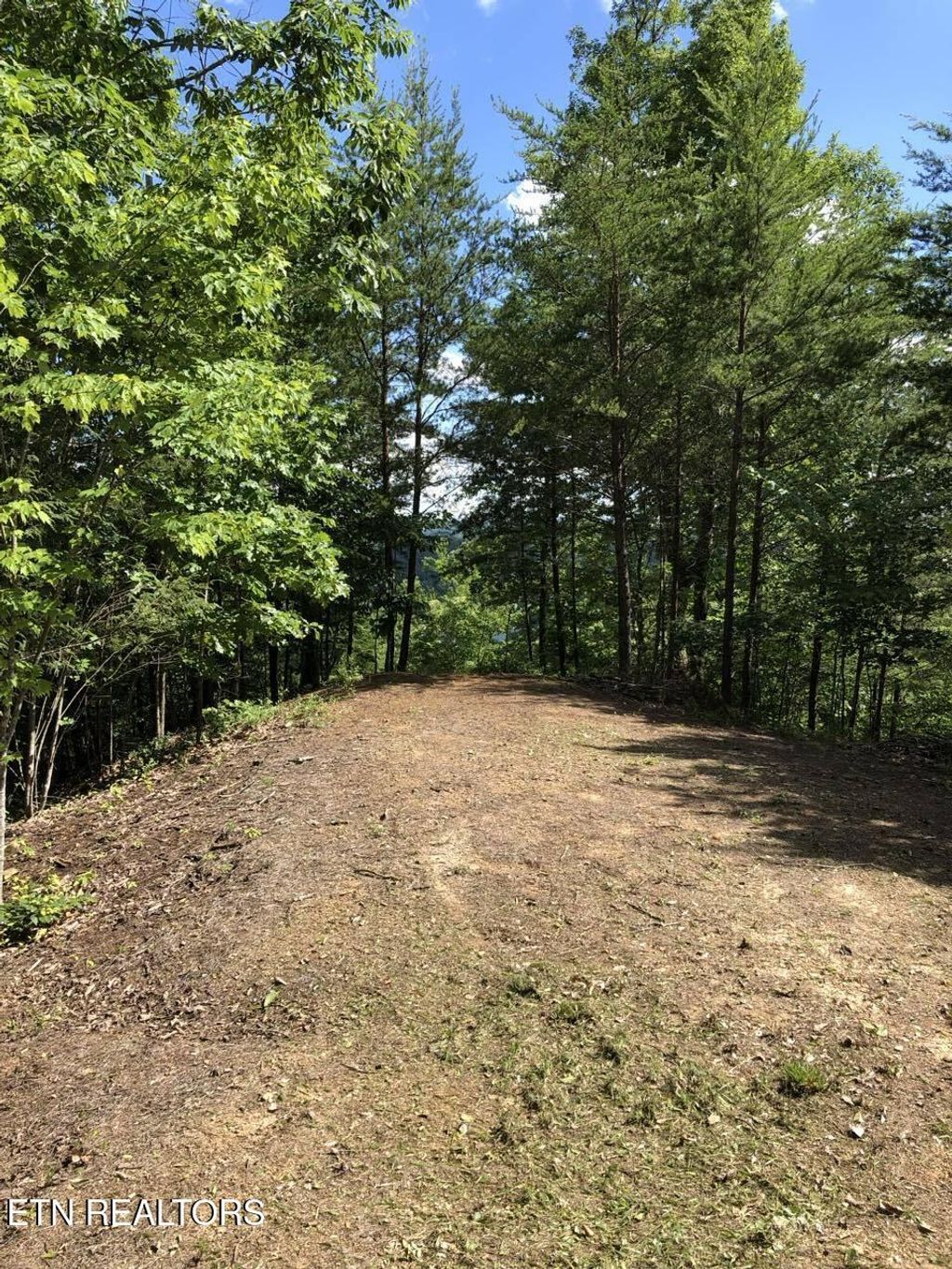 Photo of Red Creek Hollow Rd, Tazewell, TN 37879 (MLS # 1286400)