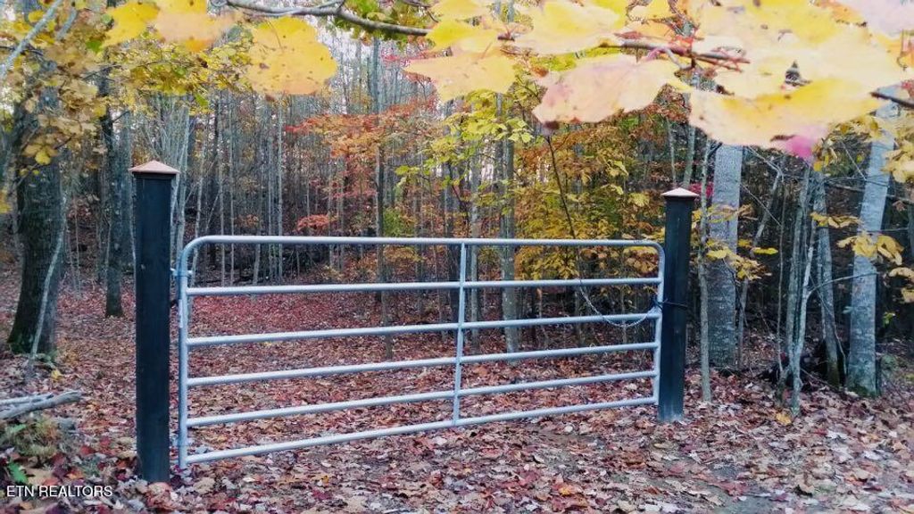 Photo of Red Creek Hollow Rd, Tazewell, TN 37879 (MLS # 1286400)