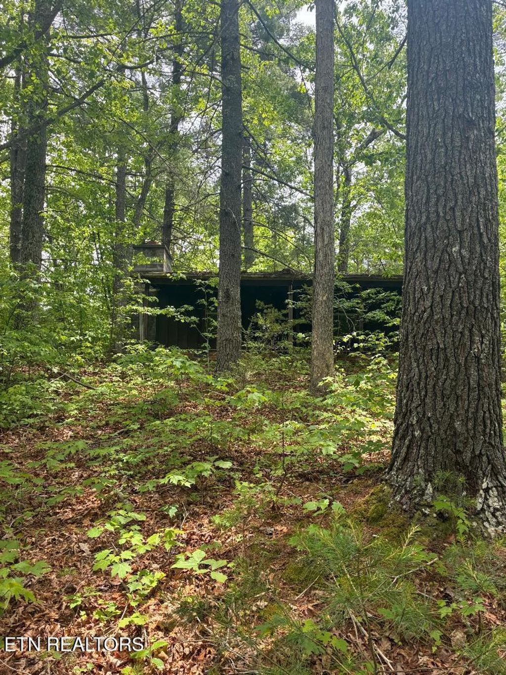 Photo of Mount Pleasant Rd, Vonore, TN 37885 (MLS # 1339964)