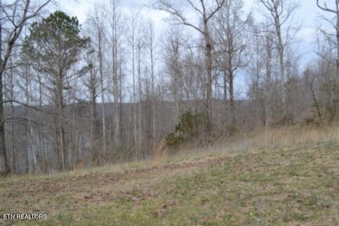 Tiny photo for 45 Fox Hill Rd, Baxter, TN 38544 (MLS # 1356272)