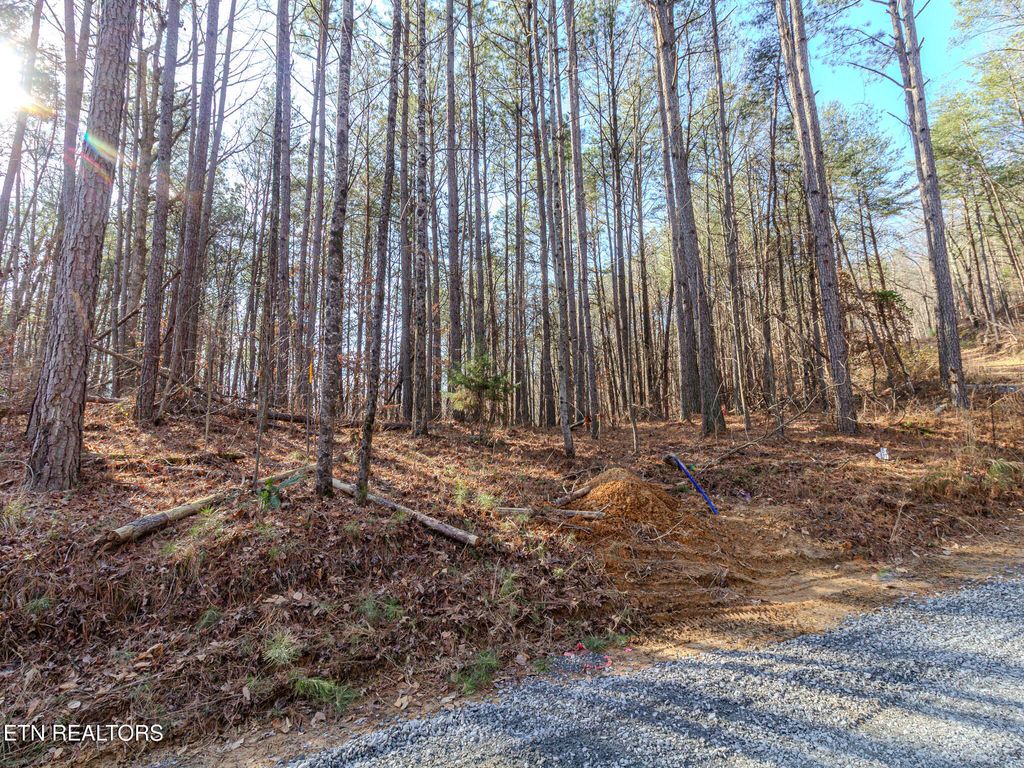 Photo of 5 Parksville Road, Benton, TN 37307 (MLS # 1325059)