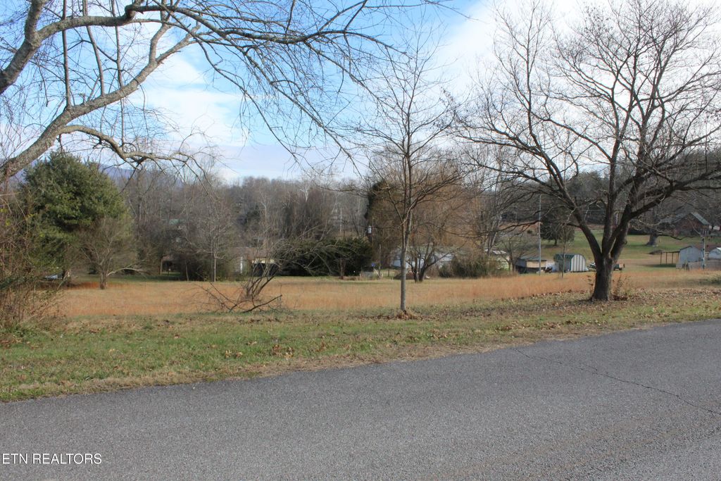 Photo of Lot 5 &amp; 6 Powell Valley Shores Circle, Speedwell, TN 37870 (MLS # 1323127)
