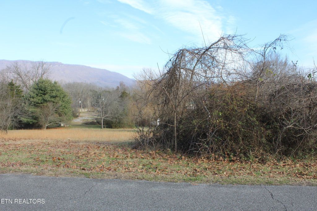 Photo of Lot 5 &amp; 6 Powell Valley Shores Circle, Speedwell, TN 37870 (MLS # 1323127)