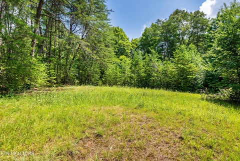 Tiny photo for 3754 Mutton Hollow Rd, Maryville, TN 37803 (MLS # 1349728)