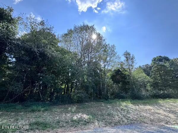 Photo of Decatur Pike, Athens, TN 37303 (MLS # 1355927)