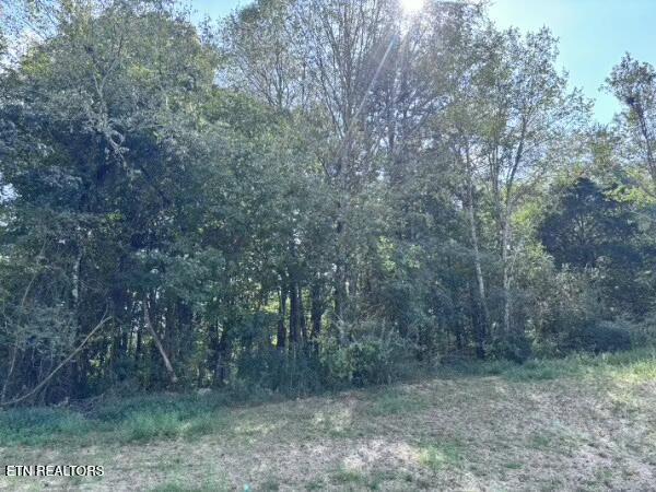 Photo of Decatur Pike, Athens, TN 37303 (MLS # 1355927)