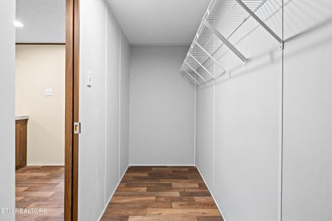 Tiny photo for 766 Greenlee Rd, Rutledge, TN 37861 (MLS # 1332305)