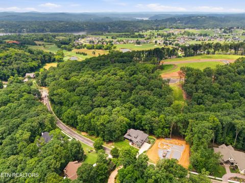 Tiny photo for 1004 Old Dogwood Tr, Loudon, TN 37774 (MLS # 1349603)