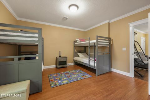 Tiny photo for 2177 Riverview Drive, Dandridge, TN 37725 (MLS # 1342154)