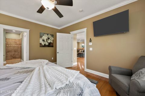 Tiny photo for 2177 Riverview Drive, Dandridge, TN 37725 (MLS # 1342154)