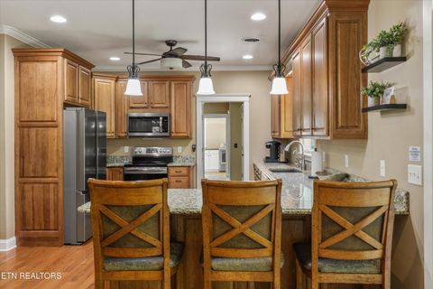 Tiny photo for 2177 Riverview Drive, Dandridge, TN 37725 (MLS # 1342154)