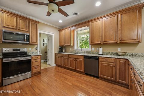 Tiny photo for 2177 Riverview Drive, Dandridge, TN 37725 (MLS # 1342154)