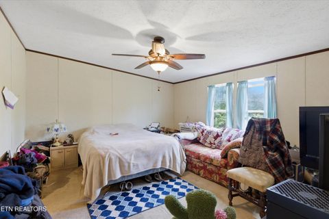 Tiny photo for 2124 Rainwater Rd, Dandridge, TN 37725 (MLS # 1335699)