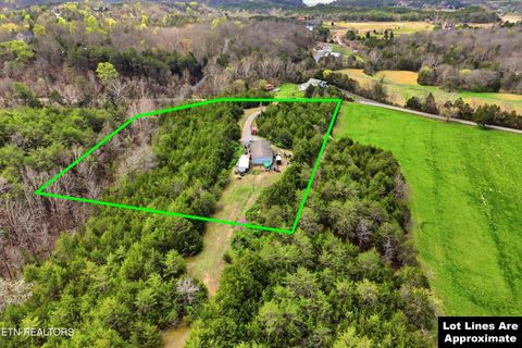 Tiny photo for 2124 Rainwater Rd, Dandridge, TN 37725 (MLS # 1335699)