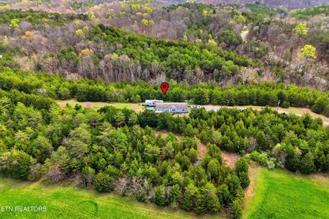 Tiny photo for 2124 Rainwater Rd, Dandridge, TN 37725 (MLS # 1335699)