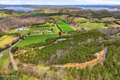 Tiny photo for 2124 Rainwater Rd, Dandridge, TN 37725 (MLS # 1335699)