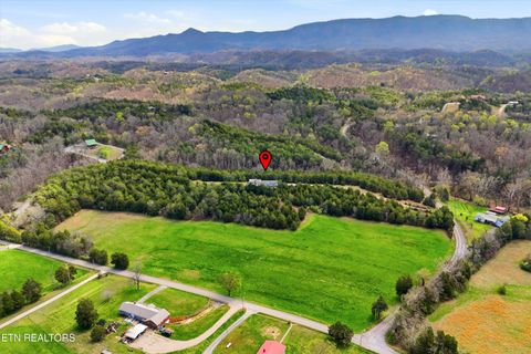 Tiny photo for 2124 Rainwater Rd, Dandridge, TN 37725 (MLS # 1335699)