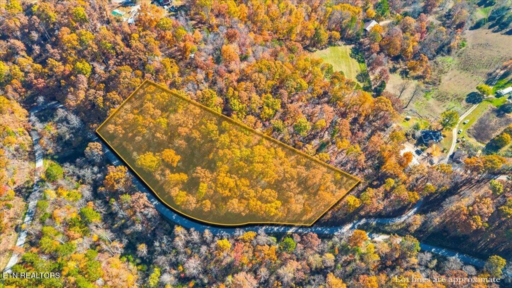 Photo of 1 E Dogwood Tr, LaFollette, TN 37766 (MLS # 1321721)