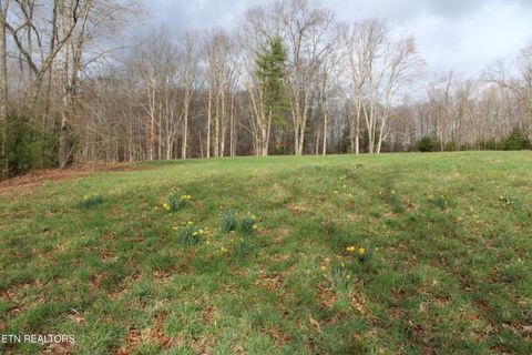 Tiny photo for 999 Meister Hills Rd, Deer Lodge, TN 37726 (MLS # 1332466)