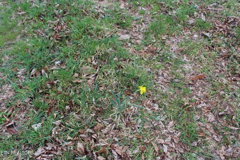 Tiny photo for 999 Meister Hills Rd, Deer Lodge, TN 37726 (MLS # 1332466)