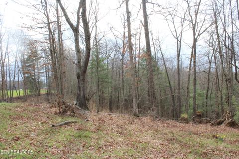 Tiny photo for 999 Meister Hills Rd, Deer Lodge, TN 37726 (MLS # 1332466)