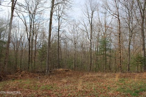 Tiny photo for 999 Meister Hills Rd, Deer Lodge, TN 37726 (MLS # 1332466)