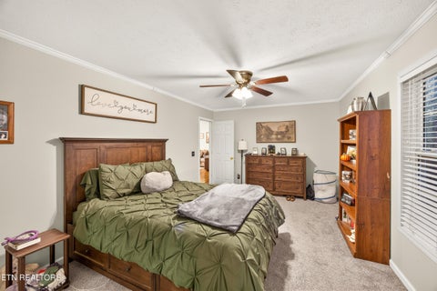 Tiny photo for 3733 Shady Oak Circle, Cookeville, TN 38501 (MLS # 1359862)