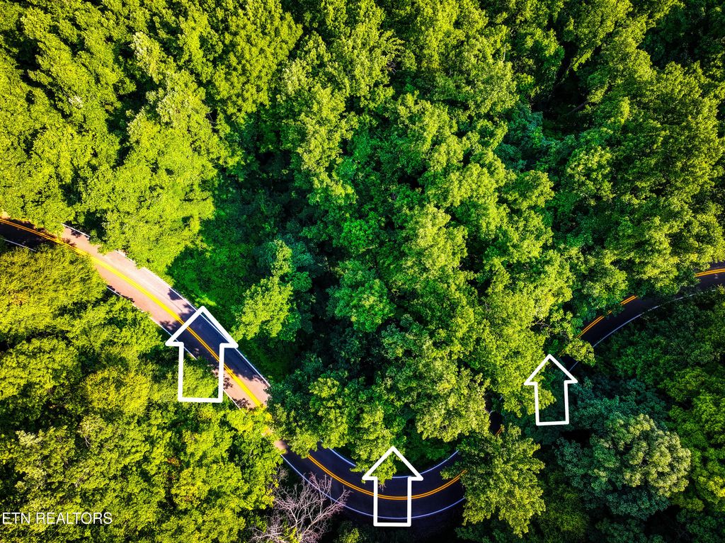 Photo of Emilyville Way, Cosby, TN 37722 (MLS # 1273922)