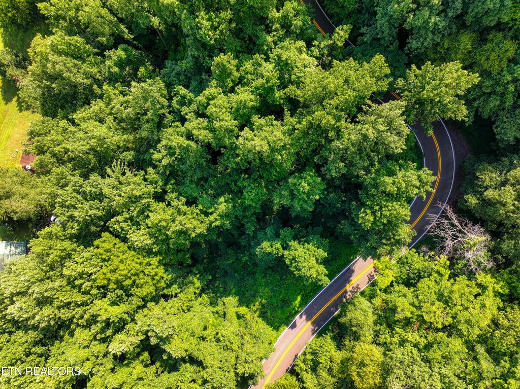 Photo of Emilyville Way, Cosby, TN 37722 (MLS # 1273922)