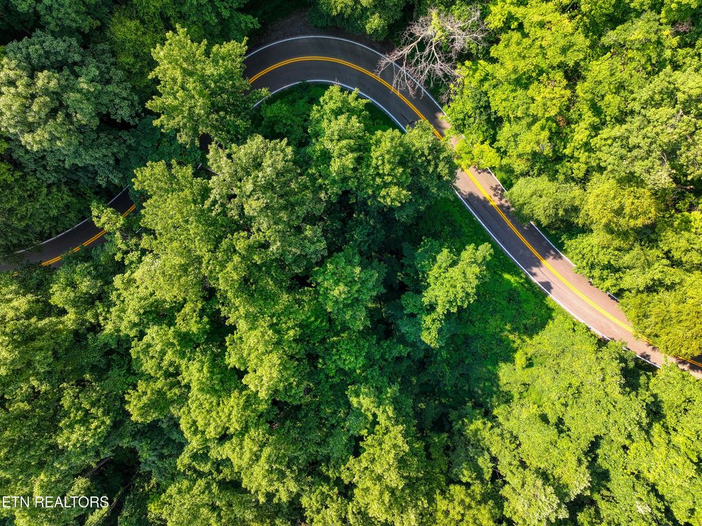 Photo of Emilyville Way, Cosby, TN 37722 (MLS # 1273922)