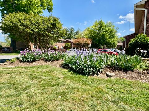 Tiny photo for 810 Highland Drive #404, Knoxville, TN 37912 (MLS # 1338222)